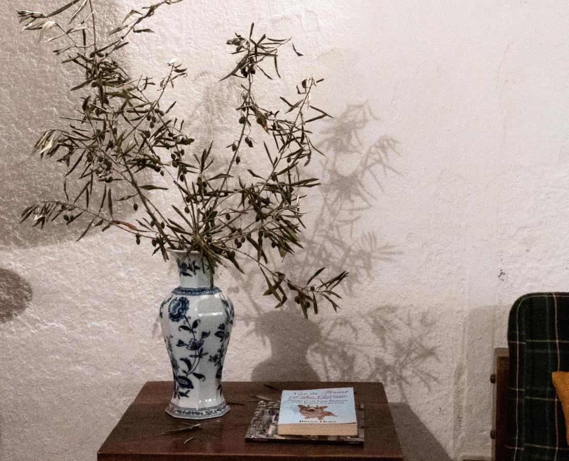 Monte Das Oliveiras 아라이오로스 외부 사진
